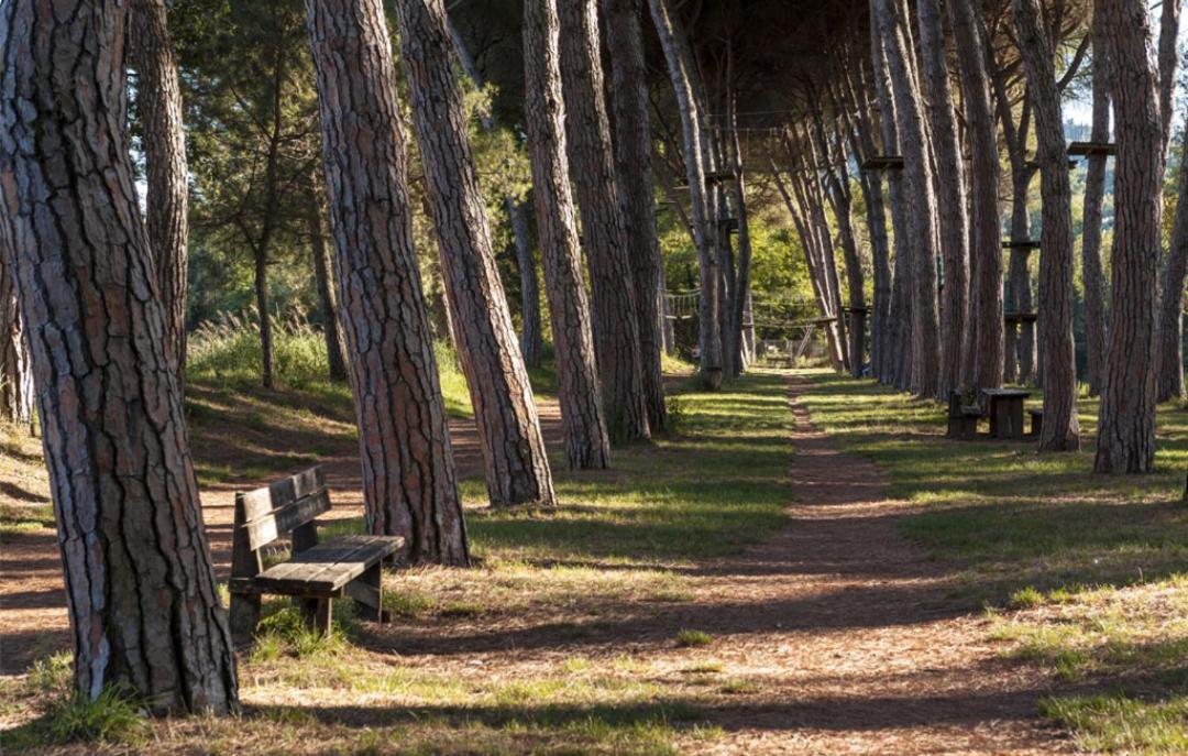 Alloggio Turistico Puccini Perugia Exteriör bild